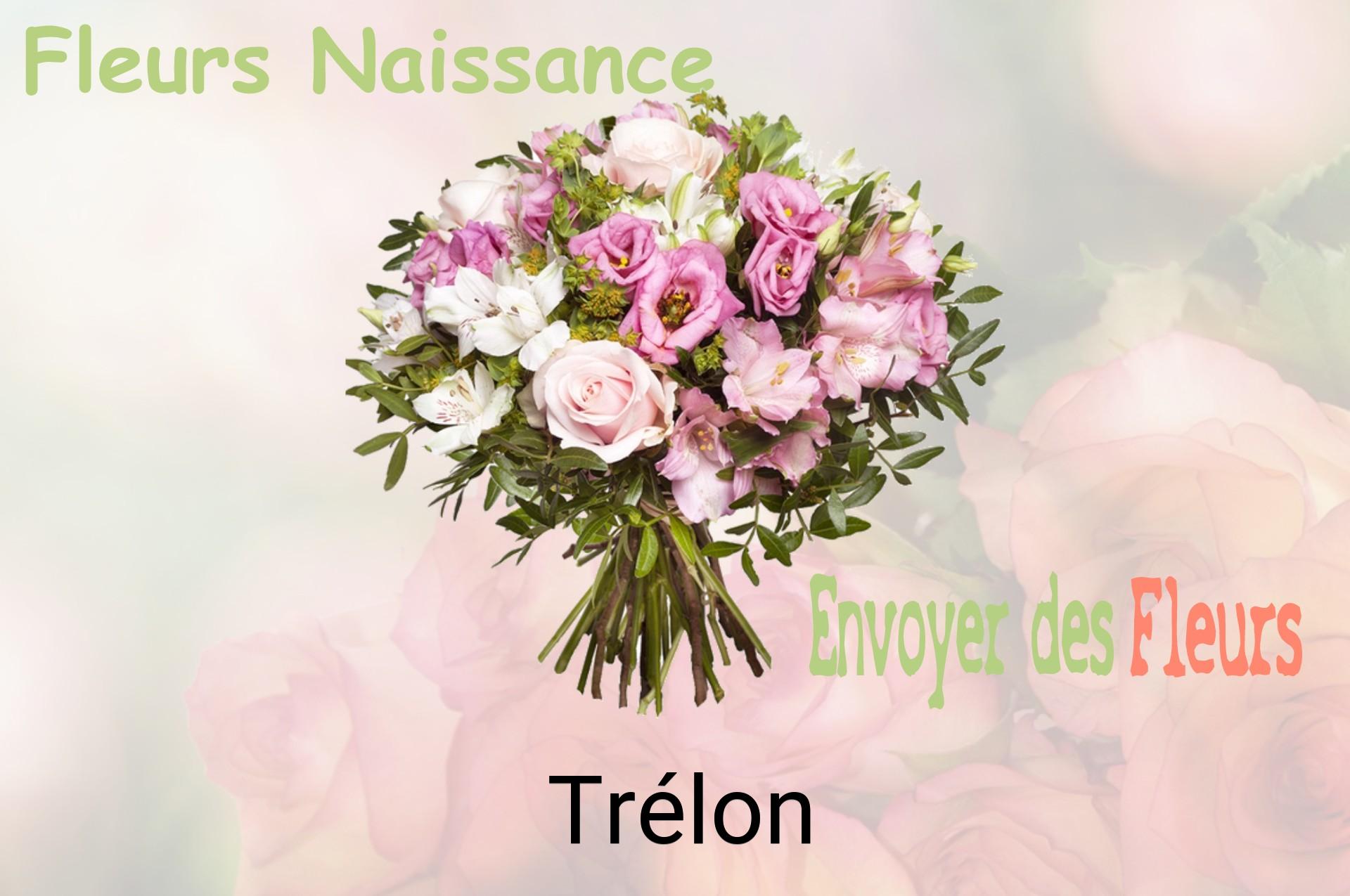 Bouquet de fleurs de naissance livré à Trélon