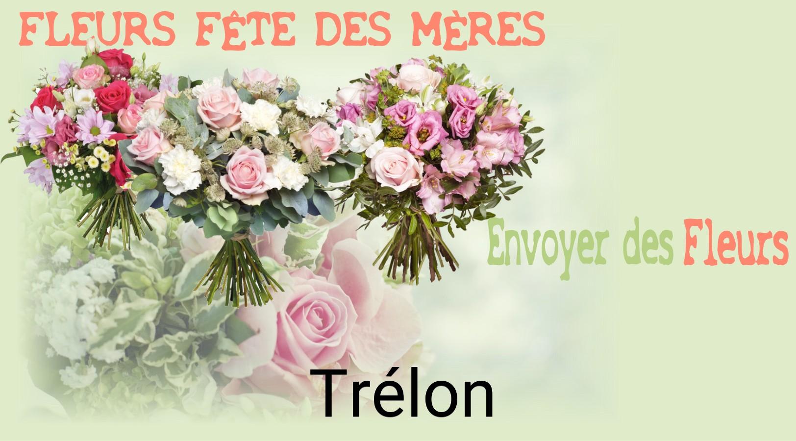 Bouquet de Fête des Mères livré à Trélon